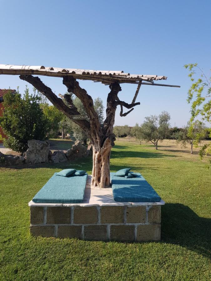 Casa Daniele Guest House Canino Exterior photo
