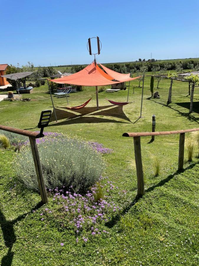 Casa Daniele Guest House Canino Exterior photo